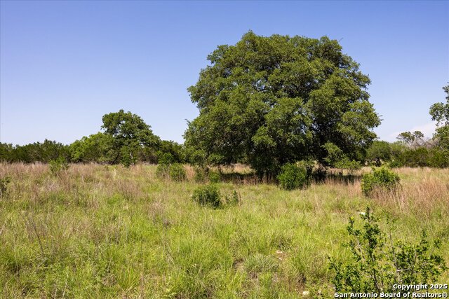 Image 15 of 54 For 32568 Tierra Robles Dr