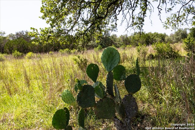 Image 16 of 54 For 32568 Tierra Robles Dr