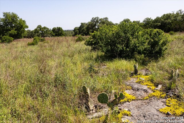 Image 20 of 54 For 32568 Tierra Robles Dr