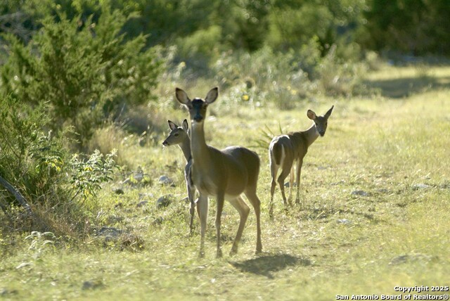 Image 16 of 25 For 1548 Connettere