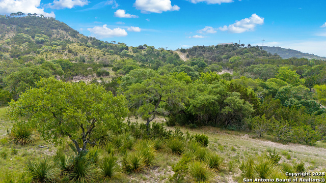 Image 12 of 17 For Lot 35 Blackbuck Trail