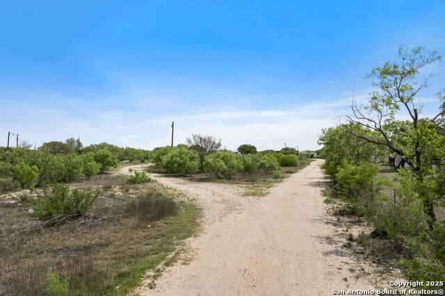 Image 12 of 13 For 255 County Road 467
