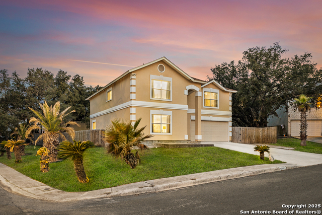 Details for 9206 Dancove Drive, San Antonio, TX 78250
