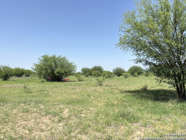 Listing photo id 2 for Tract 9 County Road 305