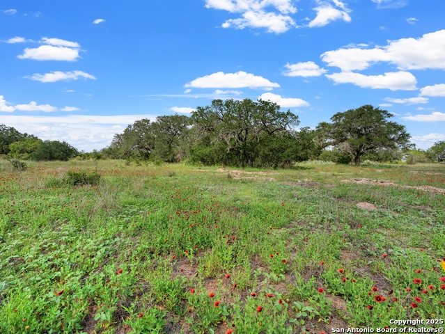 Image 6 of 10 For 323 County Road 6720