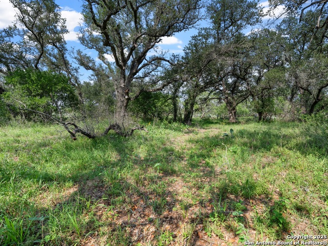 Image 7 of 10 For 323 County Road 6720