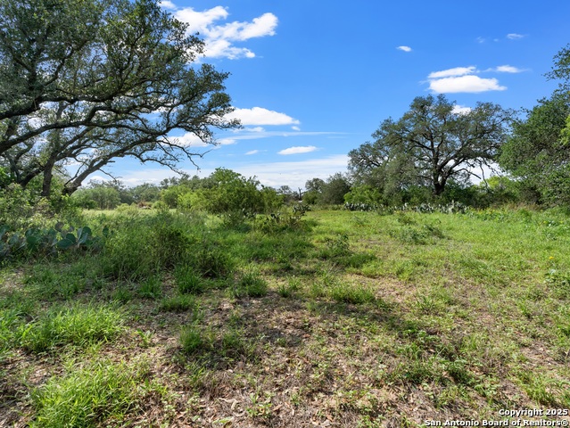 Image 8 of 10 For 323 County Road 6720
