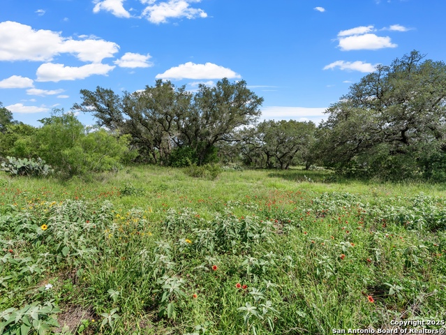 Image 9 of 10 For 323 County Road 6720