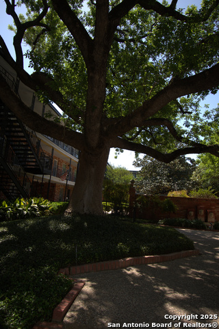 Image 5 of 18 For 8401 New Braunfels  125