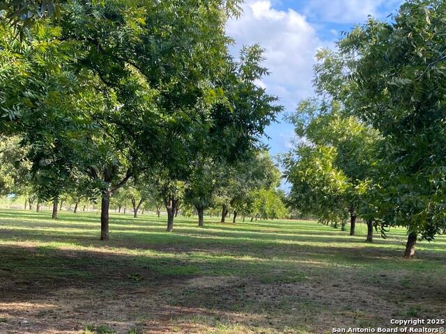 Image 2 of 10 For 6 Collins Hill Rd