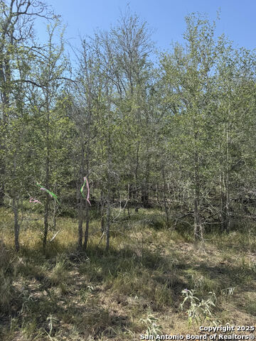 Details for 421 Kerr Ave, Sutherland Springs, TX 78161