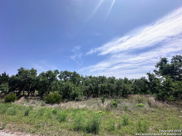 Details for 154 Vista View Pl, Spring Branch, TX 78070