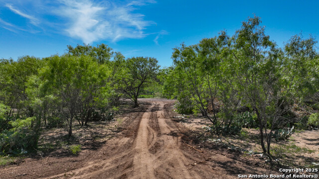 Details for 13704 Ladd Rd, Atascosa, TX 78002