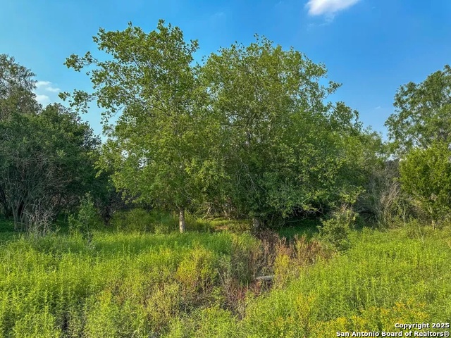 Image 7 of 10 For 1294 Cr 429  