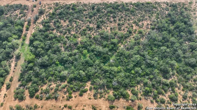 Image 8 of 10 For 1294 Cr 429  