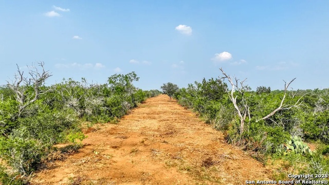 Image 9 of 10 For 1294 Cr 429  