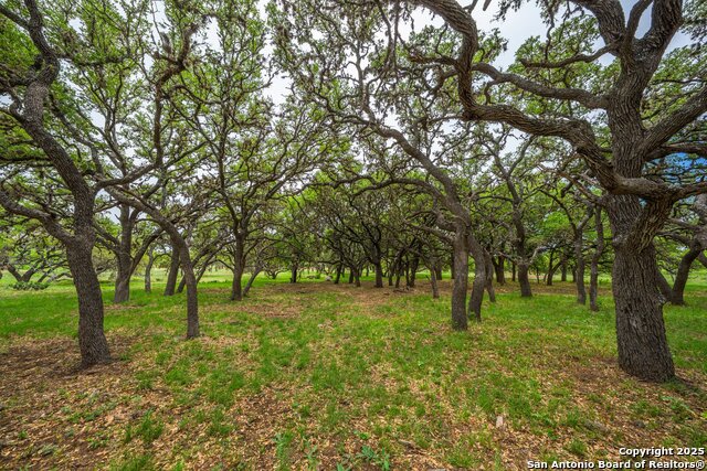 Listing photo id 23 for 1065 B & R  