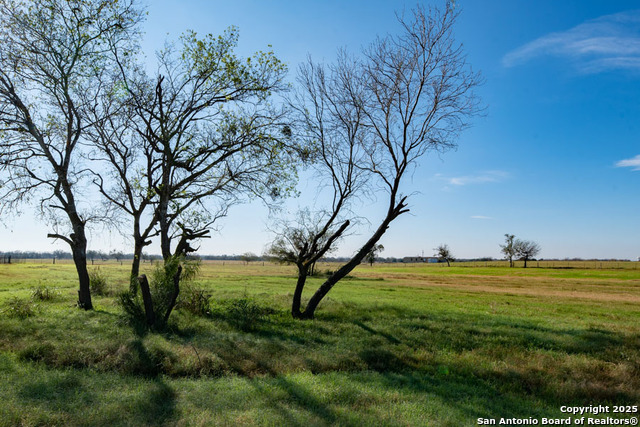 Listing photo id 6 for Tbd Bolton