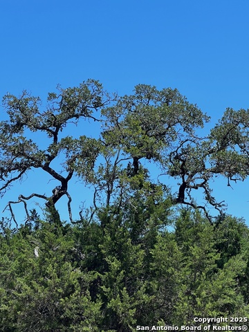 Image 7 of 14 For 551 Ranch Vly