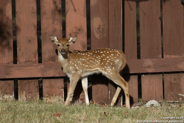 Listing photo id 64 for 100 Glen Lakes Ct W