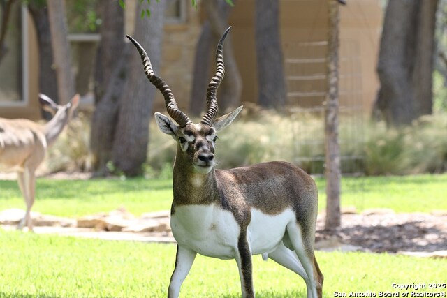 Listing photo id 67 for 100 Glen Lakes Ct W