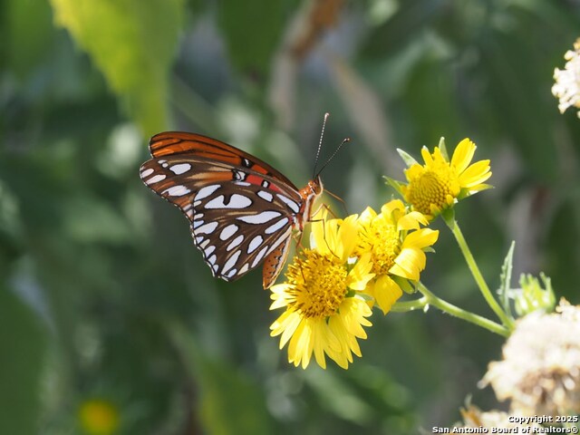 Listing photo id 68 for 100 Glen Lakes Ct W