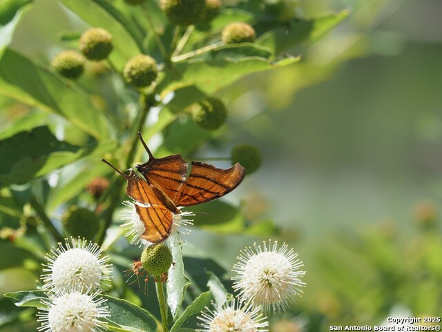 Listing photo id 69 for 100 Glen Lakes Ct W