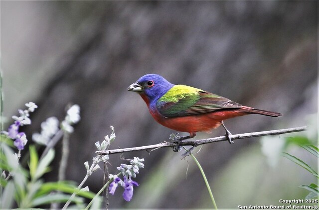 Listing photo id 70 for 100 Glen Lakes Ct W