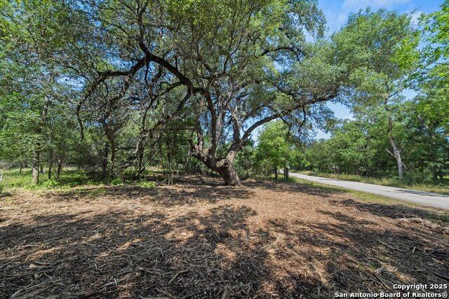 Details for 240 Caney Creek Road, New Braunfels, TX 78130
