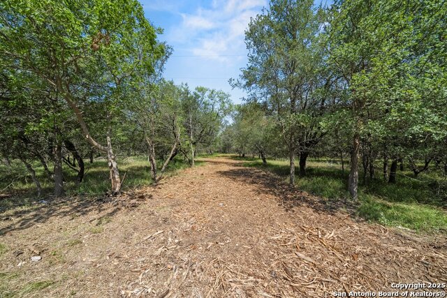 Image 24 of 36 For 240 Caney Creek Road