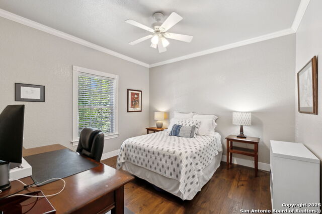 Listing photo id 22 for 616 Alamo Heights