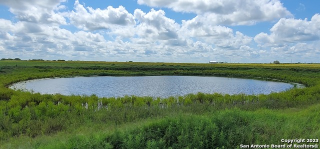 Image 6 of 14 For 2443 County Road 101