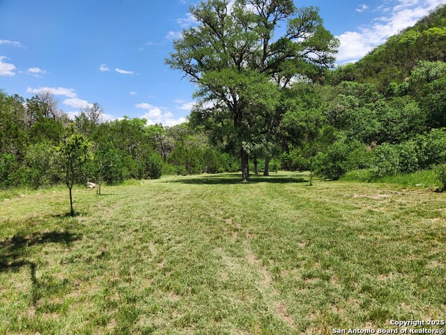 Details for 1047 Seco Pass Road, Tarpley, TX 78883