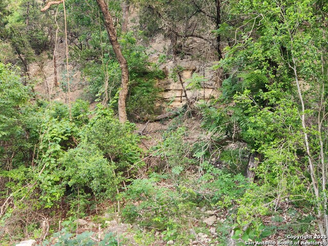 Image 19 of 41 For 1047 Seco Pass Road