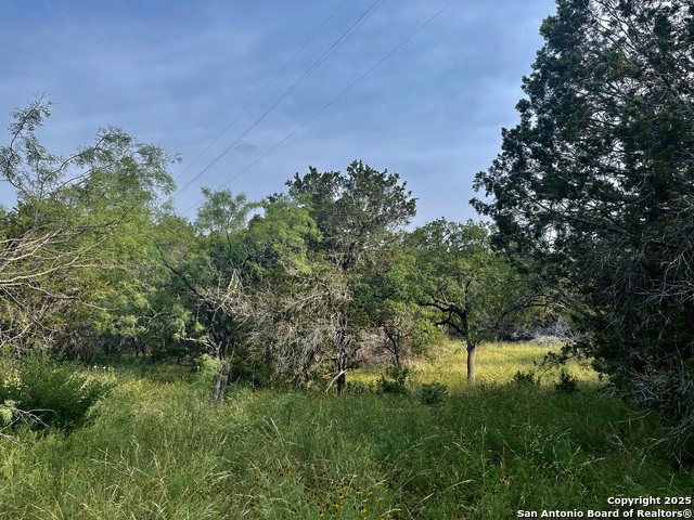 Image 13 of 53 For 410 Craig