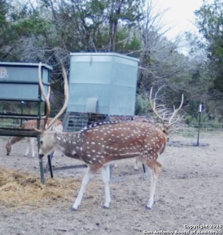 Image 20 of 53 For 410 Craig