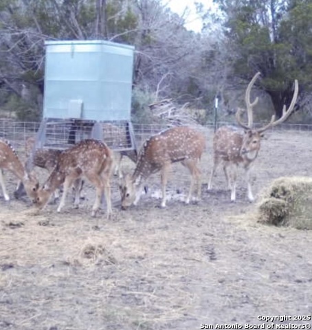 Image 21 of 53 For 410 Craig