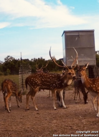 Image 22 of 53 For 410 Craig