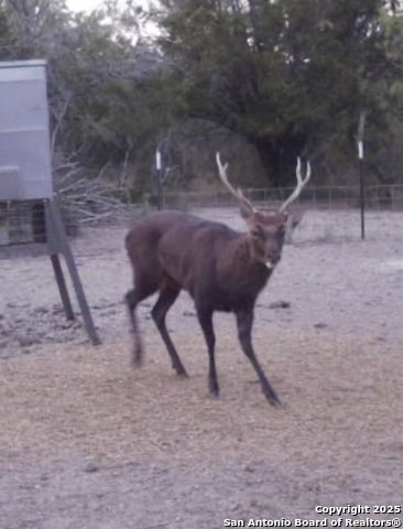 Image 23 of 53 For 410 Craig