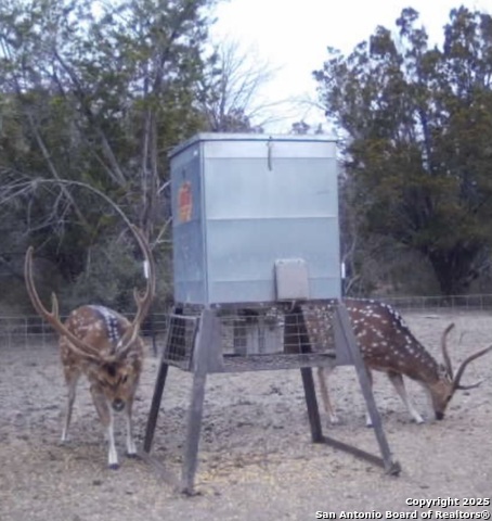 Image 24 of 53 For 410 Craig