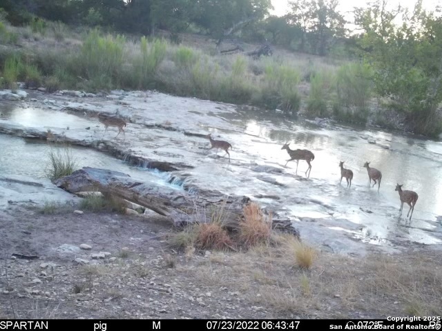 Image 25 of 53 For 410 Craig