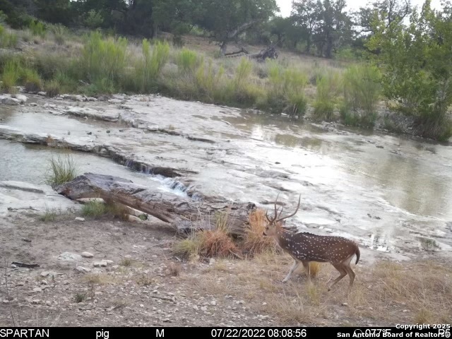 Image 26 of 53 For 410 Craig