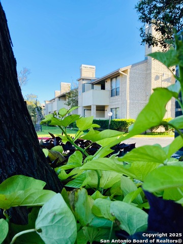Details for 11843 Braesview  108, San Antonio, TX 78213