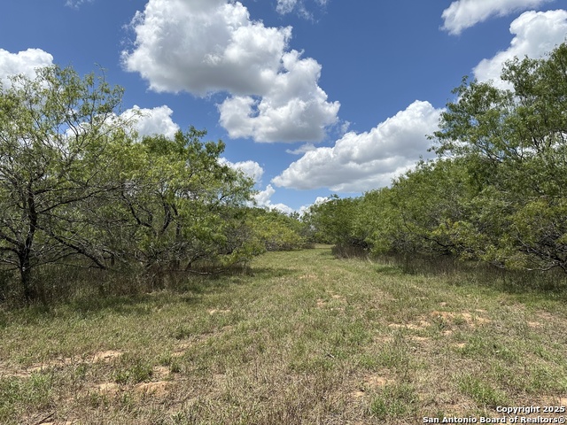 Image 9 of 9 For 40 Cr 476  