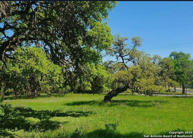 Listing photo id 8 for 0 School St & San Antonio