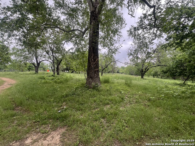 Listing photo id 3 for 0 School St & San Antonio