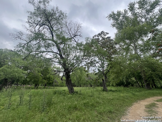 Listing photo id 5 for 0 School St & San Antonio