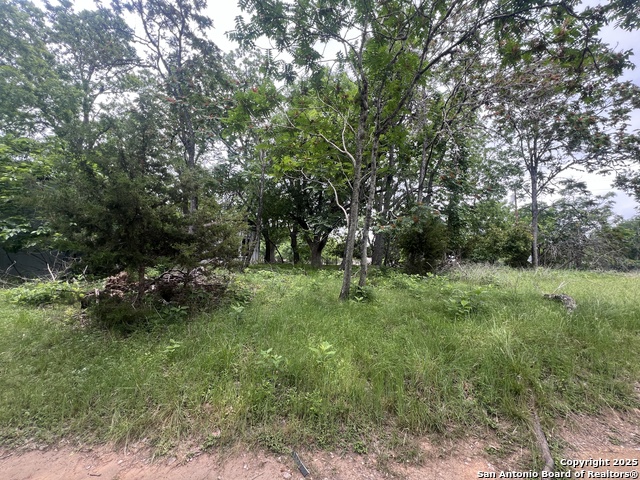 Listing photo id 6 for 0 School St & San Antonio
