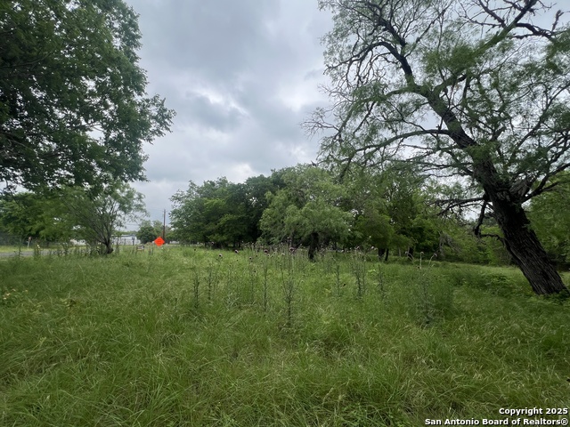 Listing photo id 7 for 0 School St & San Antonio