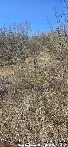 Image 2 of 4 For 421 Coyol  